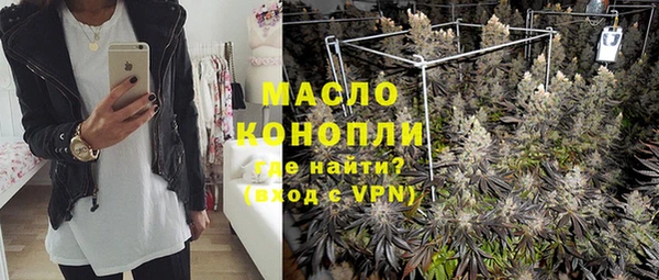 сатива Абинск