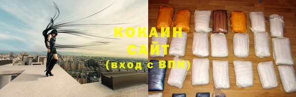 сатива Абинск