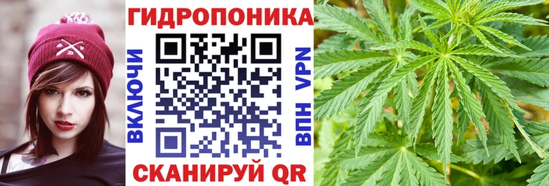 дарк нет как зайти  Фокино  Марихуана тримм 